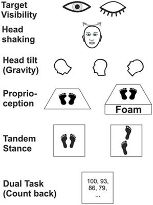 Postural Control in Bilateral Vestibular Failure: Its Relation to Visual, Proprioceptive, Vestibular, and Cognitive Input